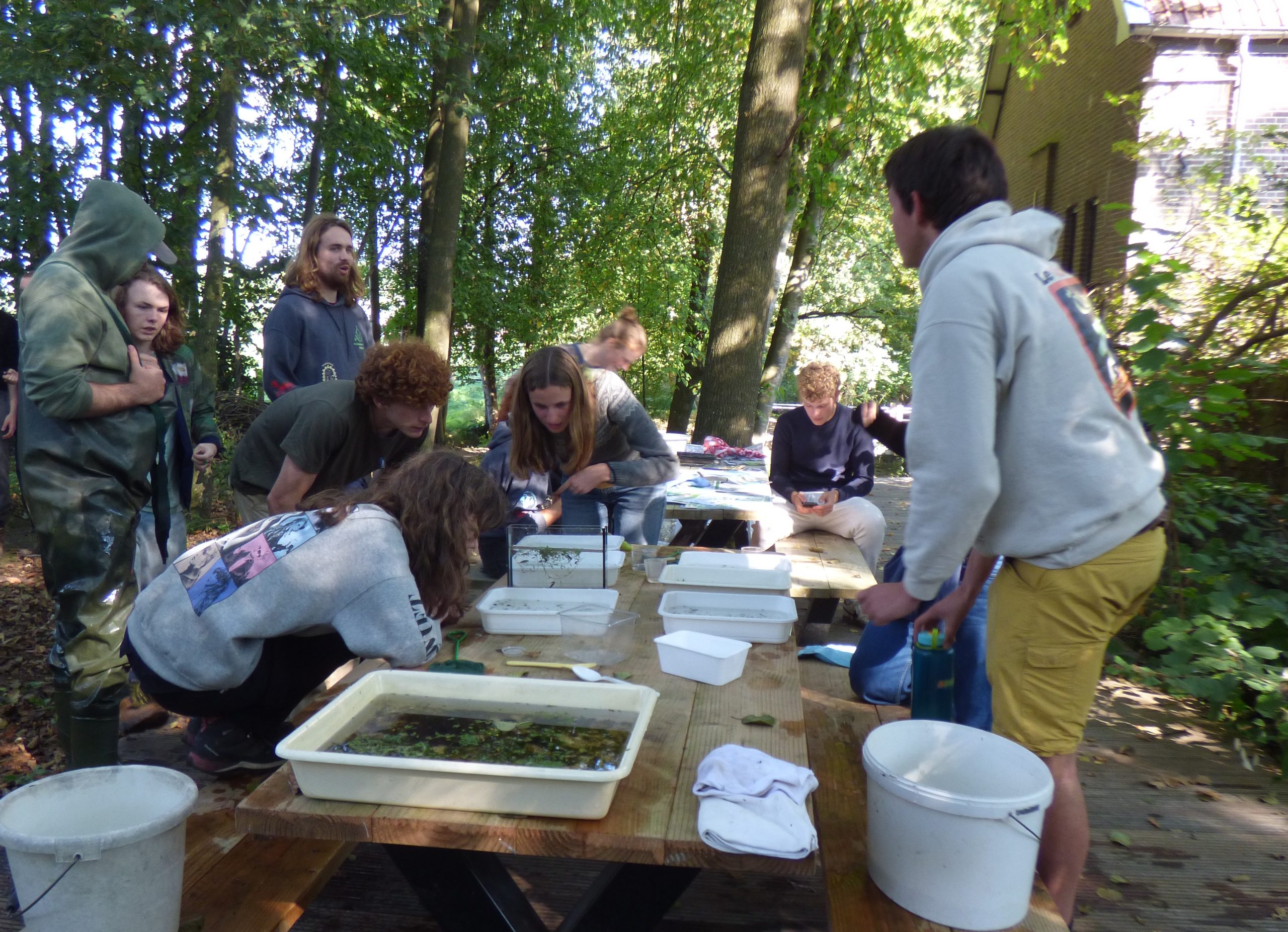 Biologiestudenten bij de Watermolen van Rakhorst biologiestudenten-watermolen